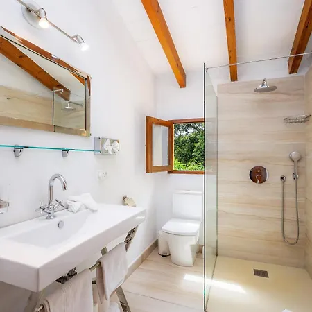 Gat Villa Alcúdia